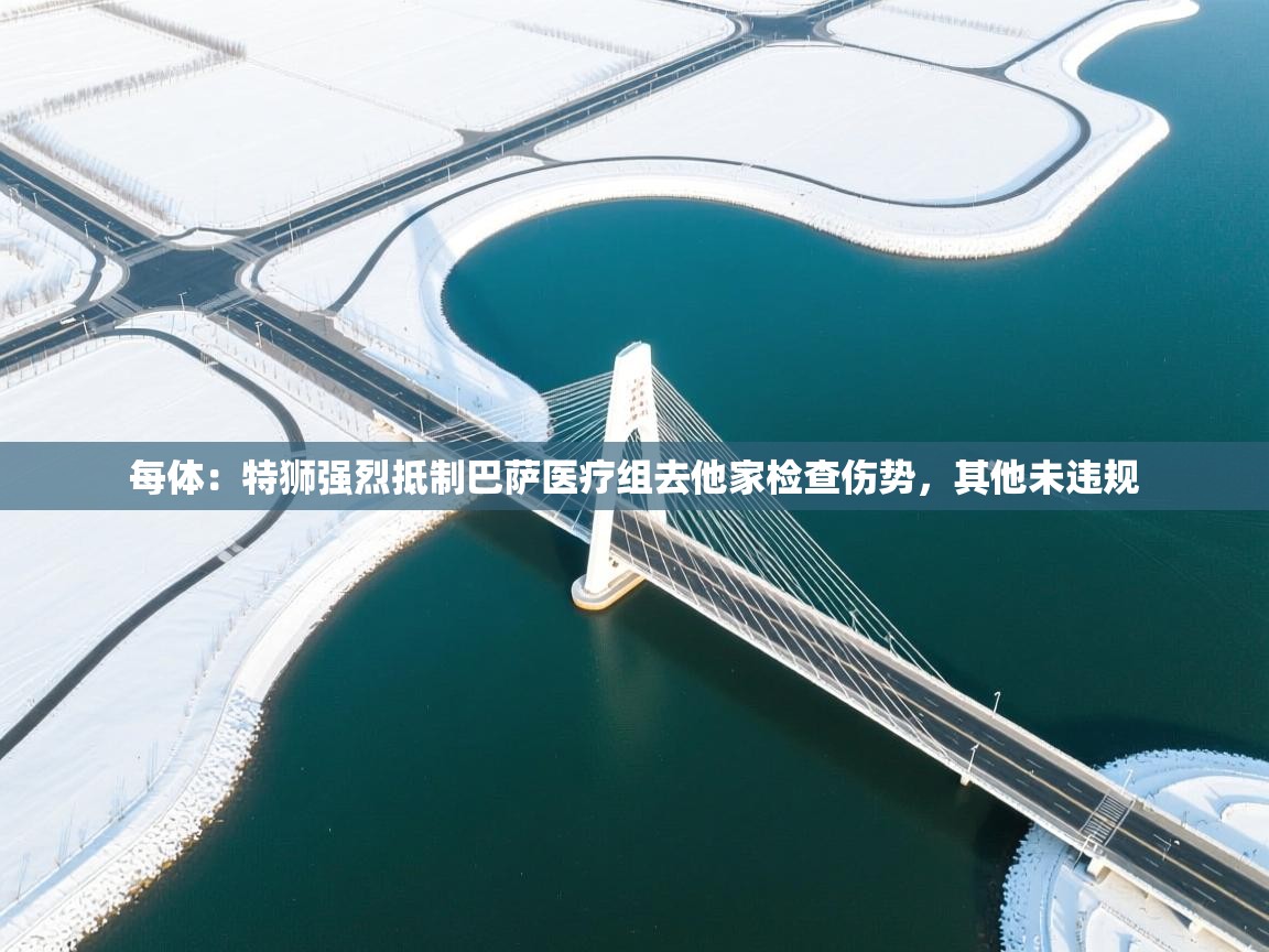 每体：特狮强烈抵制巴萨医疗组去他家检查伤势，其他未违规  第1张