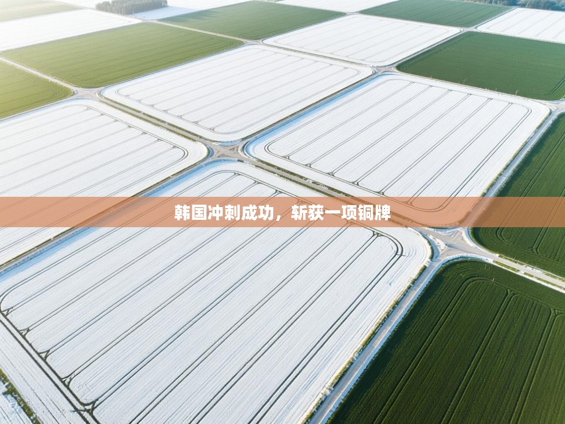 韩国冲刺成功，斩获一项铜牌  第2张