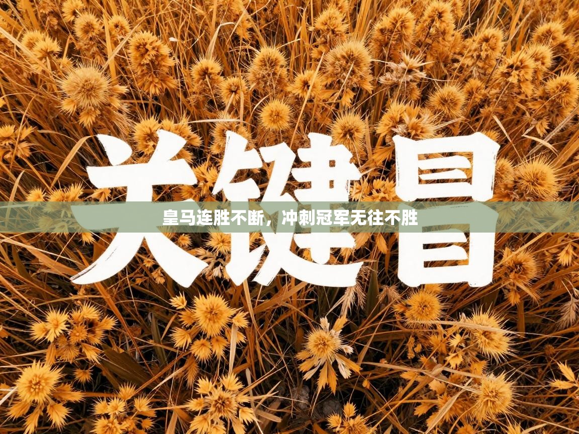 皇马连胜不断，冲刺冠军无往不胜