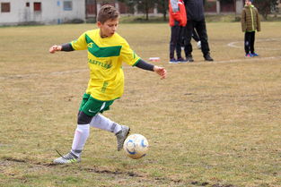 滨江江南体育中心-国际足球大赛：女足精英们力争冠军